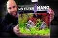 Nano Ecosystem Fish Tank You Can Put