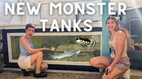 NEW MONSTER FISH Tanks at Atlas Aquarium!! (FULL TOUR)