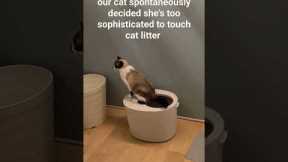 our #cat just taught herself to use the litterbox like a toilet?!