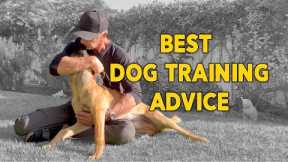 Best Dog Training Advice - Don’t Compare Your Dog to Dogs on Social Media