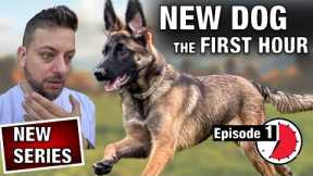 Episode 1: How To Master The First Moments With A New Dog