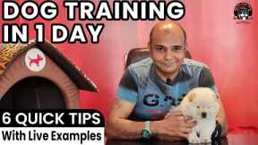 Easy Puppy or Dog Training in 1 Day || 6 Quick Tricks & Tips with LIVE Example || Baadal Bhandaari