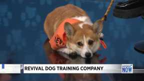 Revival Dog Training