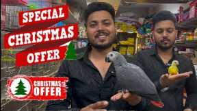 Wajid exotic pets Christmas offer #birds #exotic #birdslover