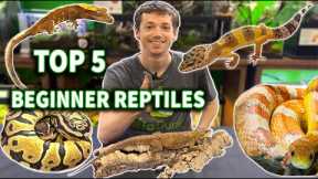 The Dude's TOP 5 Reptiles for Beginners