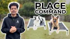 How to Teach Your Dog the “Place” Command