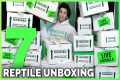 Unboxing 30 New Reptiles! Big &