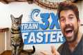 Clicker Train Your Cat Faster