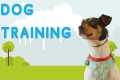 Dog Training Classes in SeaTac!