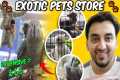 Exotic Pets Store in Hyderabad ||