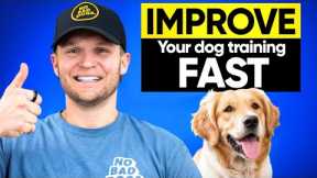 3 Game Changing tips to instantly improve your dog training