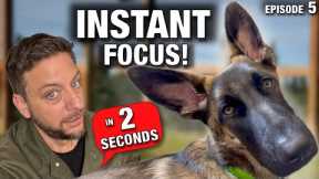 How to Train ANY Dog to Pay Attention in 2 Seconds