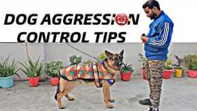 Dog Aggression Control Tips & Tricks (Dog Training Session 1)