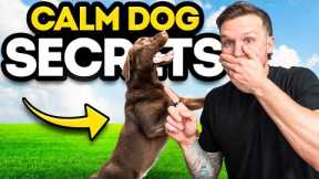 How to calm down any dog with these EASY dog training tips!