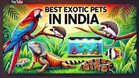 Exotic Pets You Can Legally Own in India | Rare & Unique PetsBest Exotic Pets India