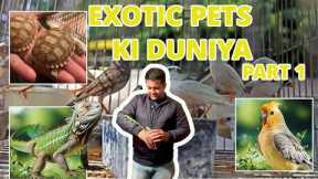 Exotic pets in India || kya exotic animals rakhna legal hai ?