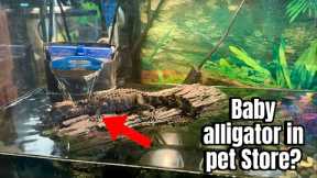 Crazy Reptile Stores in Florida Have EXOTIC PETS!👀 Pet Store Tour with iguana man and Ninja!