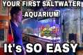 YOUR FIRST SALTWATER AQUARIUM “It’s