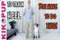 Train Your Dog To HEEL - BEGINNER TIP 