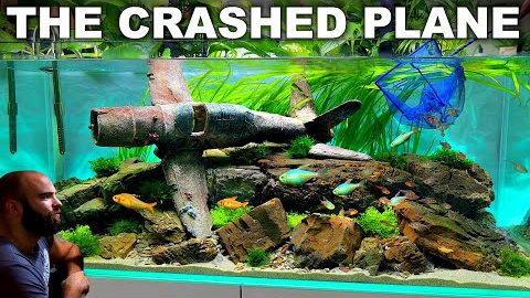 FULL AQUARIUM BUILD - The Crashed Plane Tank!