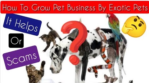 How Exotic Pets Contribute To The Growth 📈 of Pet Industry📌 Satisfied Pet Lover & Profitable Breeder