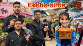 New video wajid exotic pets Jogeshwari fully tamed birds available #exotic #birds #birdslover