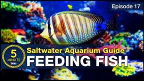 Feed your saltwater fish in a way you can be proud of. Increase health color and longevity