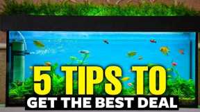 How To Get A CHEAP Fish Tank (5 Ways) 💵!