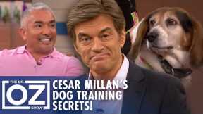 Cesar Millan’s Dog Training Secrets Revealed! | Oz Wellness