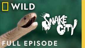 Catching Snakes on a Train (Full Episode) | Snake City | Nat Geo Animals