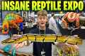 I SPENT 3,000$ AT THIS REPTILE EXPO!