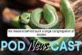 ENGLISH IN NEWS- Snakes in Australian 