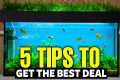 How To Get A CHEAP Fish Tank (5 Ways) 