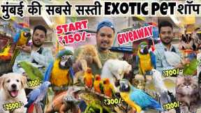 Cheapest Pet shop in Mumbai || Start ₹150/-😱| Giveaway💥|| Wajid exotic birds || cheapest pet market