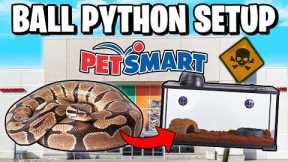 Ball Python Setup for Beginners