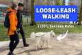 Train ANY Dog to Walk on a Loose