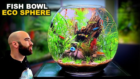 Eco Sphere Fish Bowl: AMAZING NO WATER CHANGE & No Filter Aquarium (AQUASCAPE TUTORIAL)