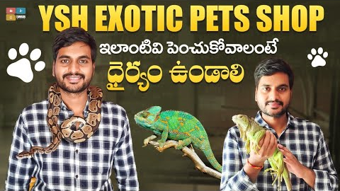Exotic Pets Shop In Hyderabad || Ysh Exotic Pets || Hyderabad Pets Shop || Tamada Media
