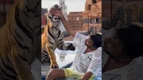 The Dark Side of Dubai's Exotic Pets