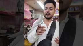 Wajid Exotic Pet's Jogeshwari west best and cheapest exotic pets in mumbai #viralvideo #exoticpets