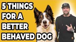 You Must Master These 5 Things For a Better Behaved Dog