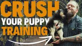 PUPPY TRAINING MASTERCLASS - Reggie Diary Week 1