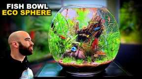 Eco Sphere Fish Bowl: AMAZING NO WATER CHANGE & No Filter Aquarium (AQUASCAPE TUTORIAL)