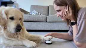Funny Attempts to Teach My Dog How to Ring a Bell