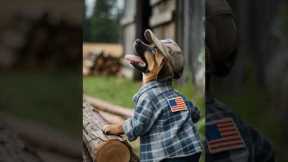 The poor puppy wearing a faded American worker cap #dogs #pets #dog #poor #puppy #cute