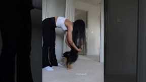 Pomeranian handstand stretches 🤸 #pomeranian #dog #cutedog