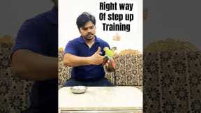 Right way to step up, Fix your step up mistake. Train your parrot right way!