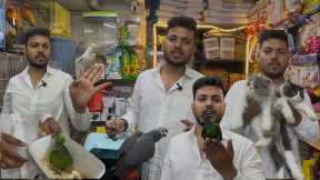Wajid exotic amazon parrot new video Jogeshwari #exotic #bird #parrot #cats