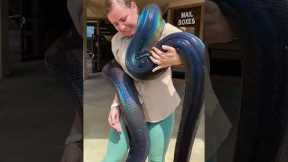 You Have To See This Gorgeous Rainbow Snake! 😱🐍