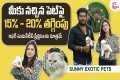 Sunny Exotic Pets | 15% to 20%